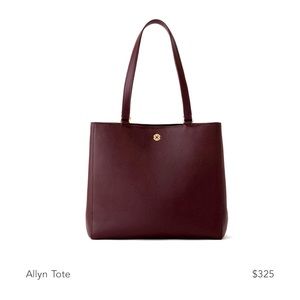 Dagne Dover Allyn Bag in Oxblood